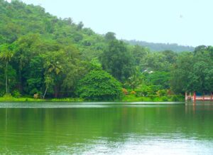 Mayem Lake transformed