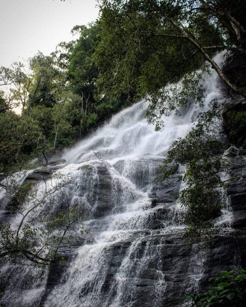 The popular Killiyur Falls