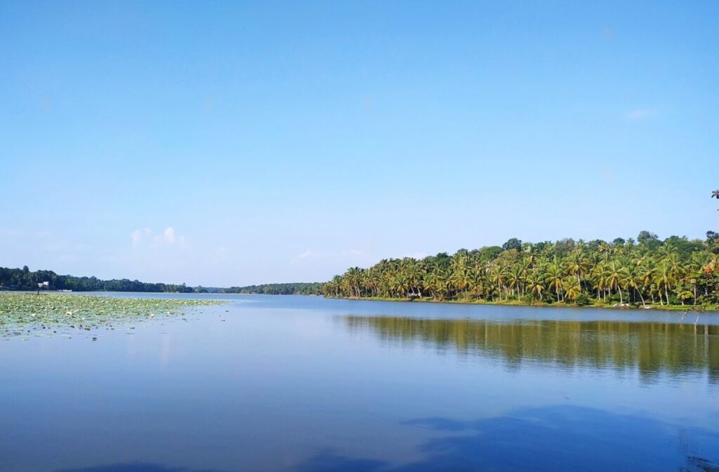 Vellayani lake