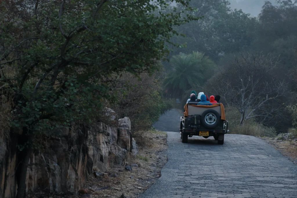 national park ranthambore sawai madhopur