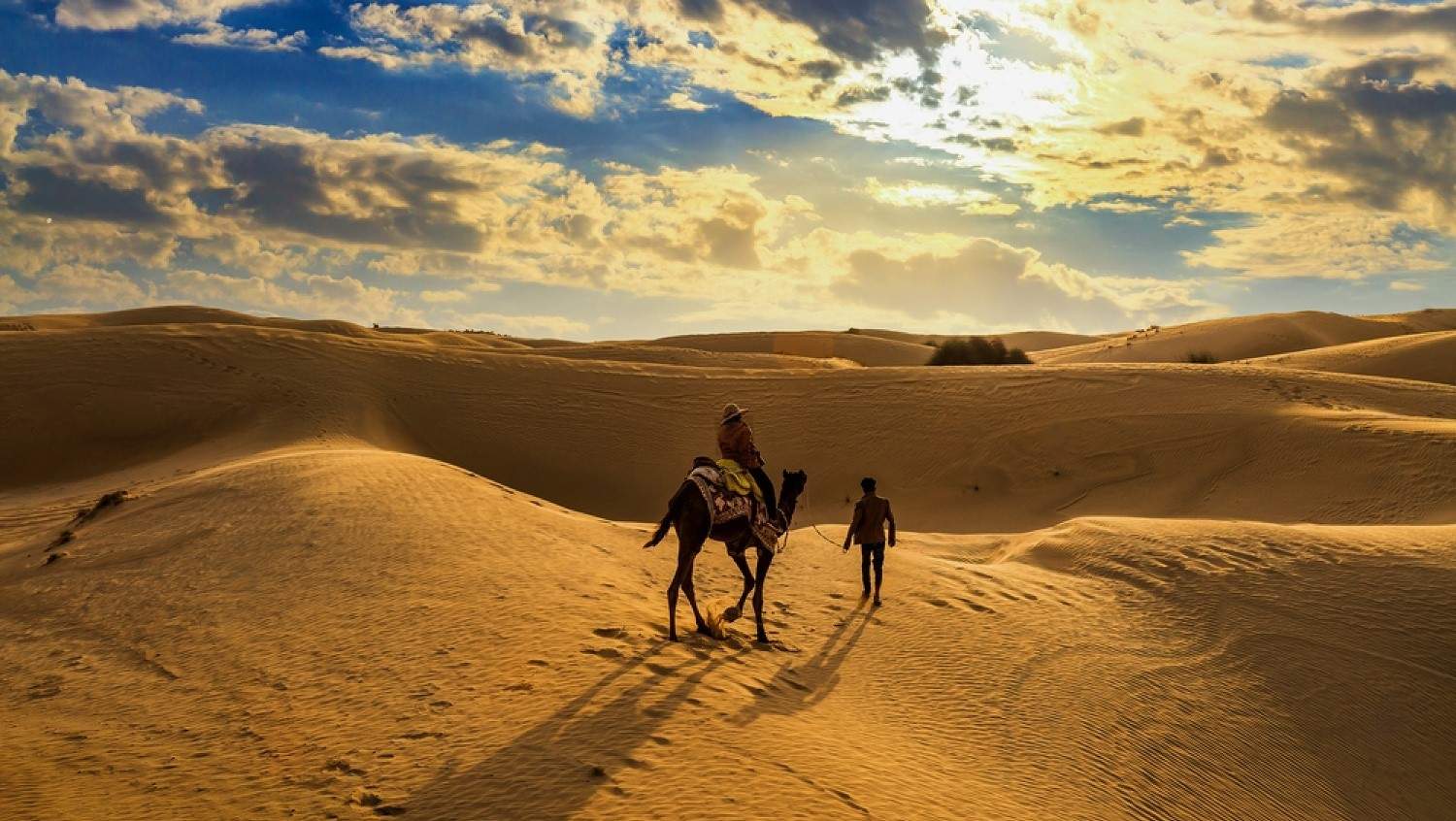 Explore The Thar Desert Of Rajasthan | Geography, Map, Tours 2023 -  TheIndiaExplorer