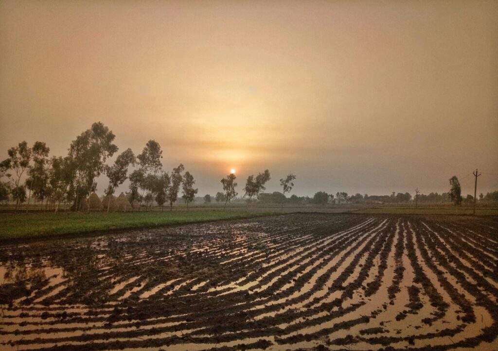 Gurdaspur Punjab May 2018 Sunrise from farms transformed