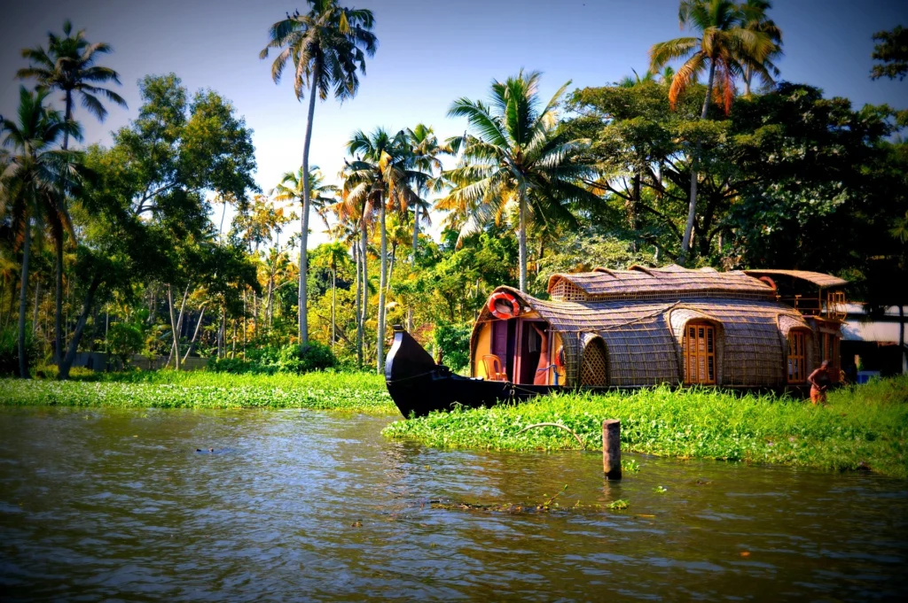 Kerala Backwaters Boat Ride