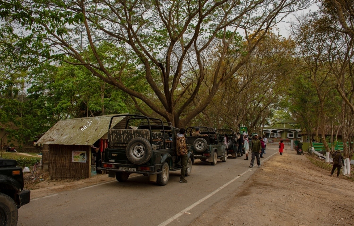 Kaziranga National Park Assam - Flora And Fauna - TheIndiaExplorer