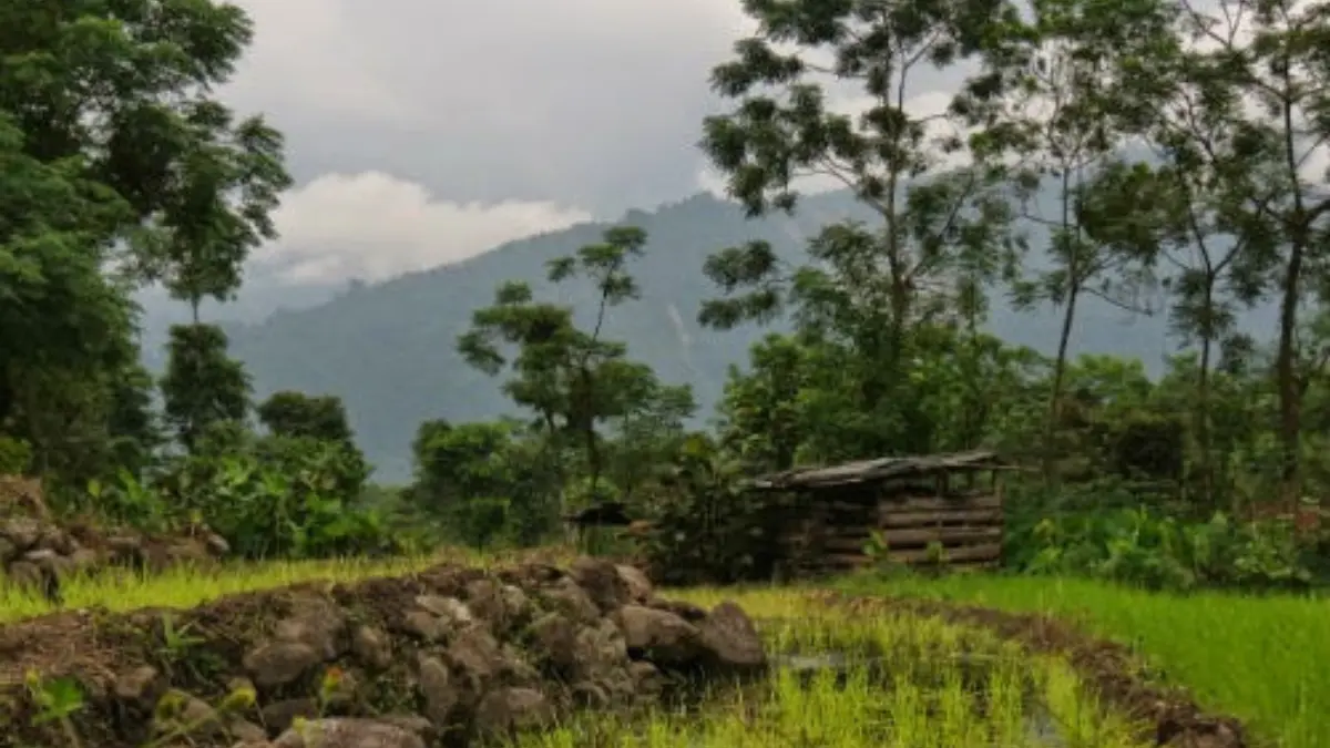 Bunkulung