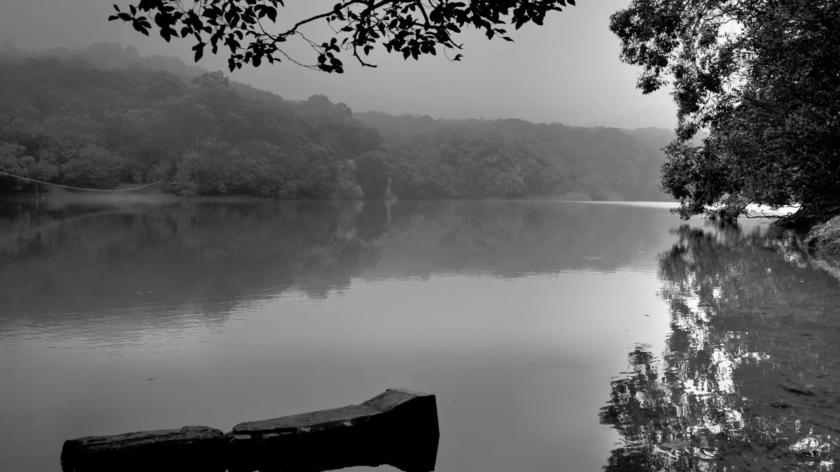 Charlotte lake