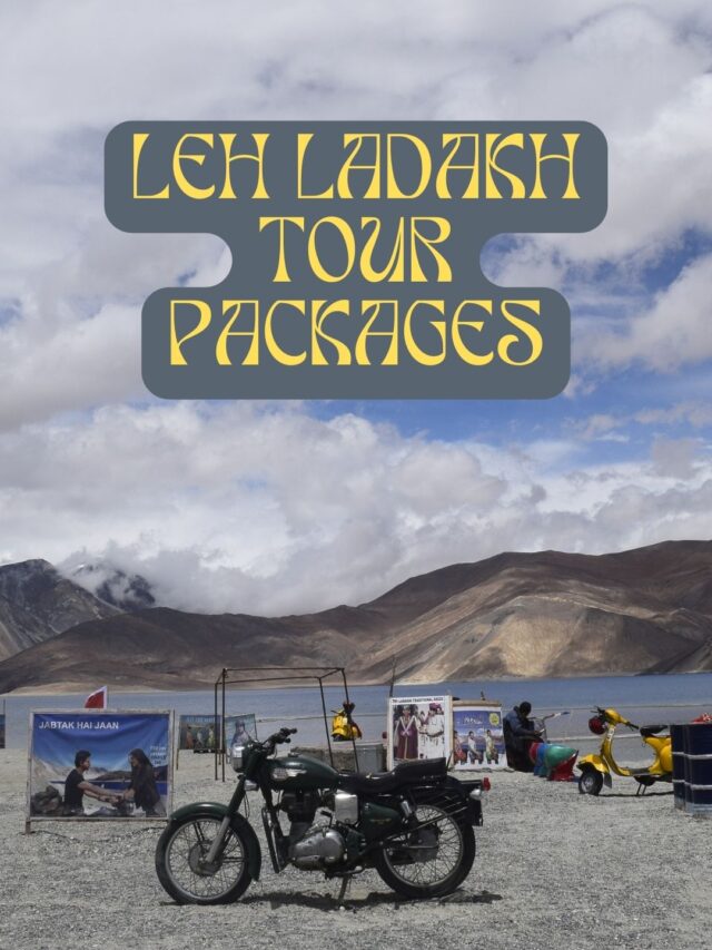 ladakh india tour packages