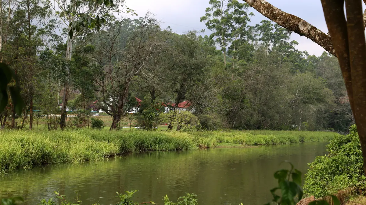 Blossom Hydel Park images