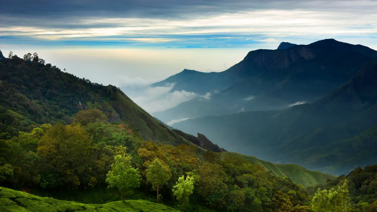 Munnar Top Station  images 