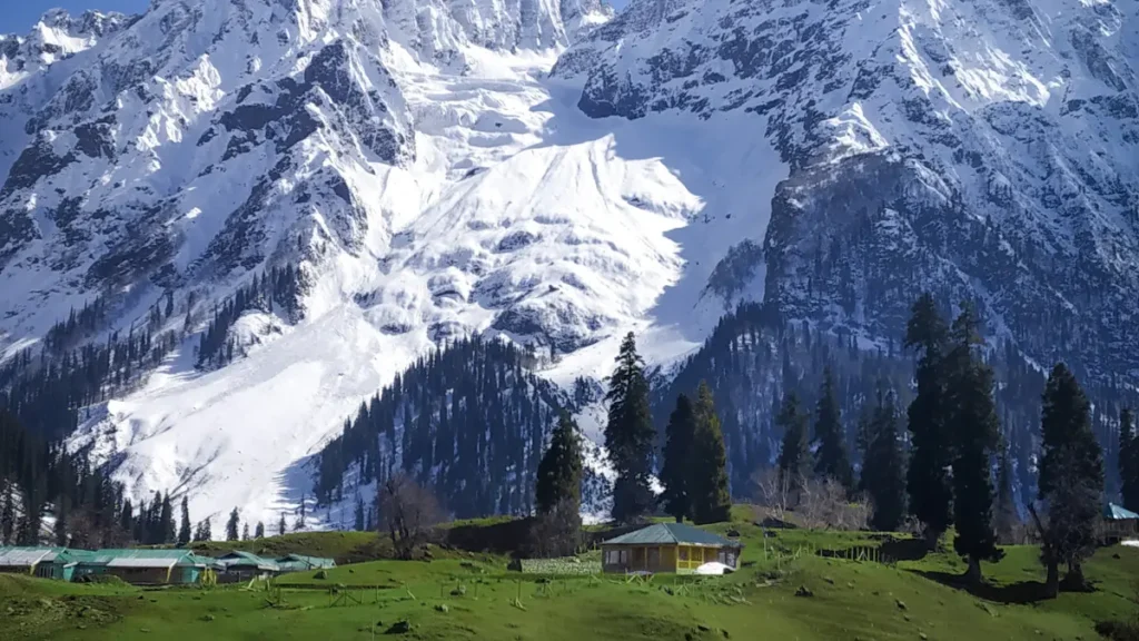 Himalayan Herbal Resort