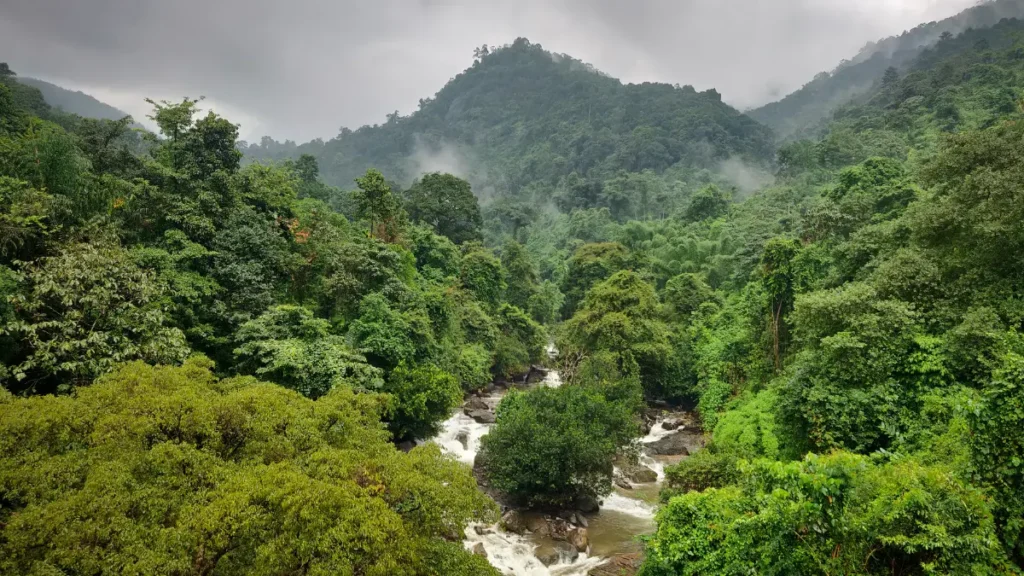 Kozhikode