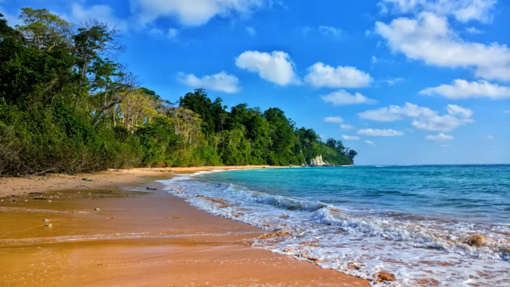 Radhanagar Beach Andaman and Nicobar Islands