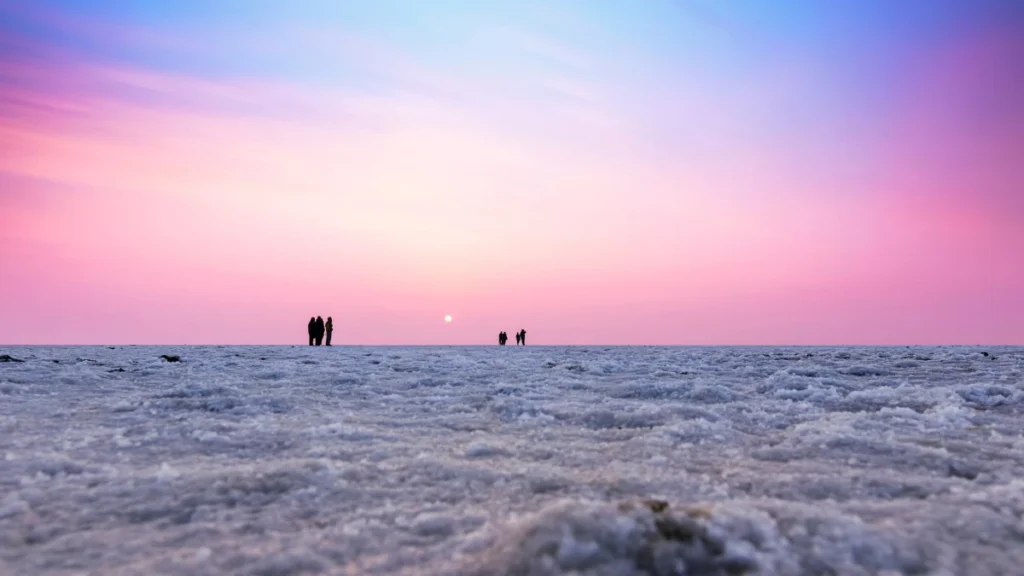 the White Desert