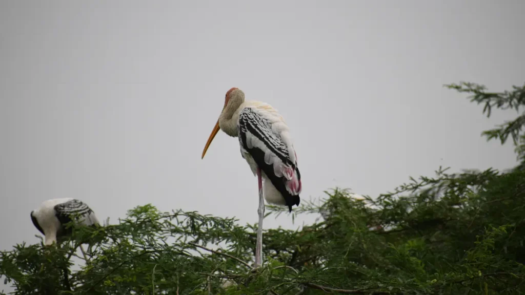 National Zoological Park