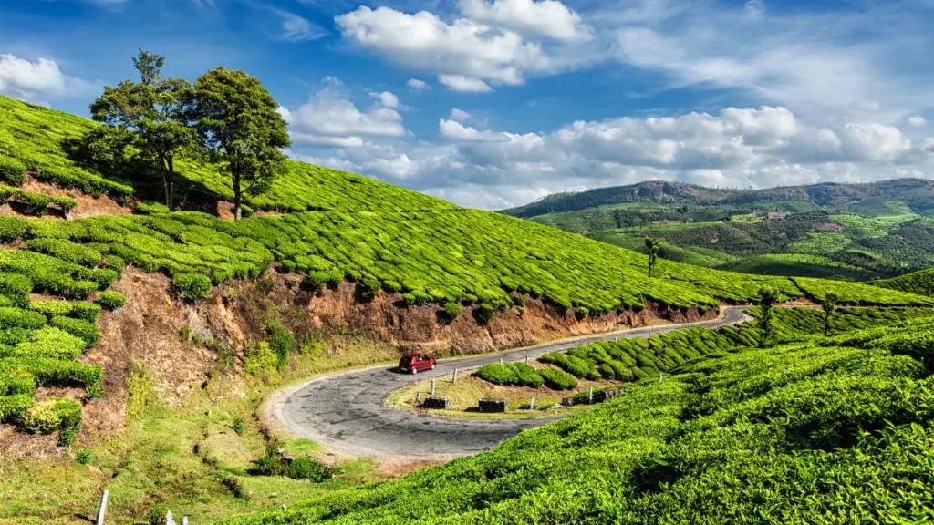 munnar in winter