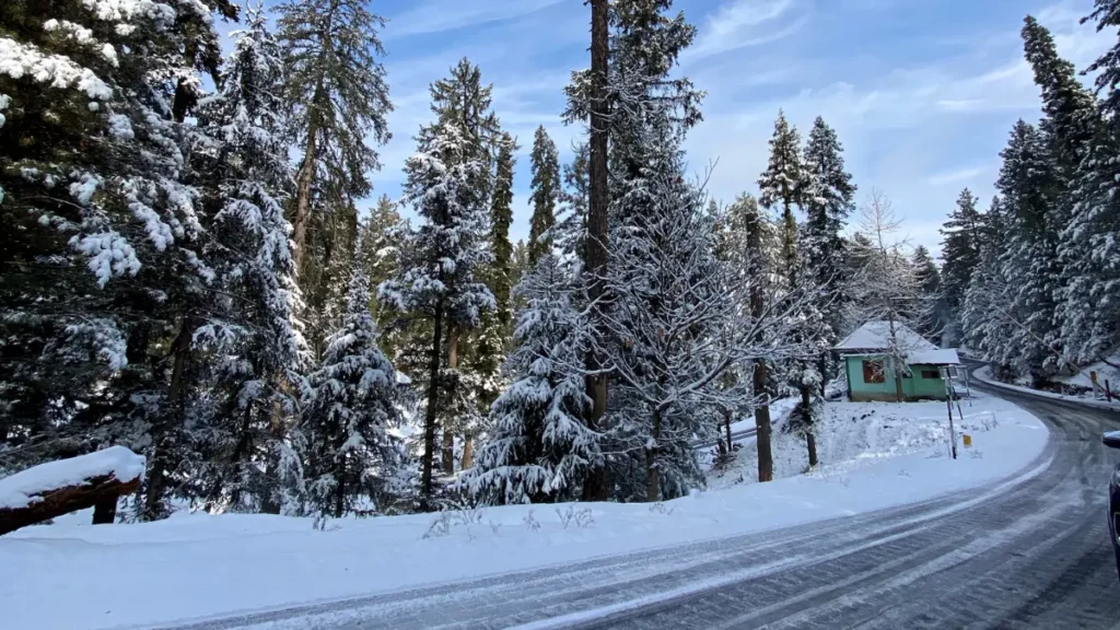 place to visit in winter in Gulmarg Kashmir