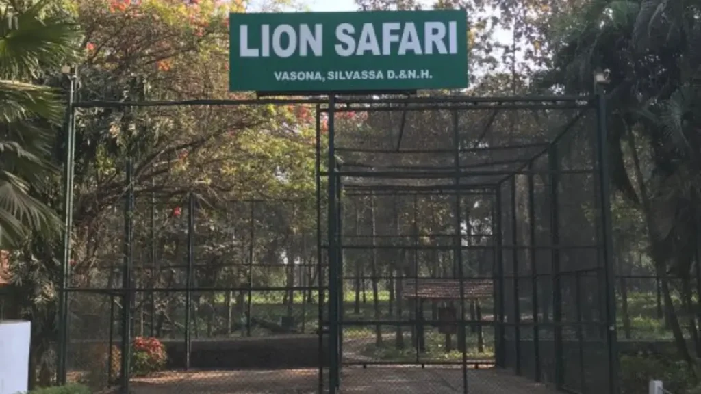 Vasona Lion Safari