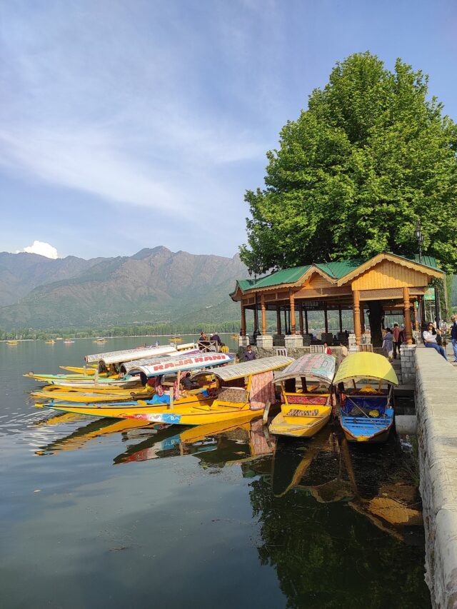 Best Kashmir Trip Package: 7 Days and 6 Nights of Winter Fun