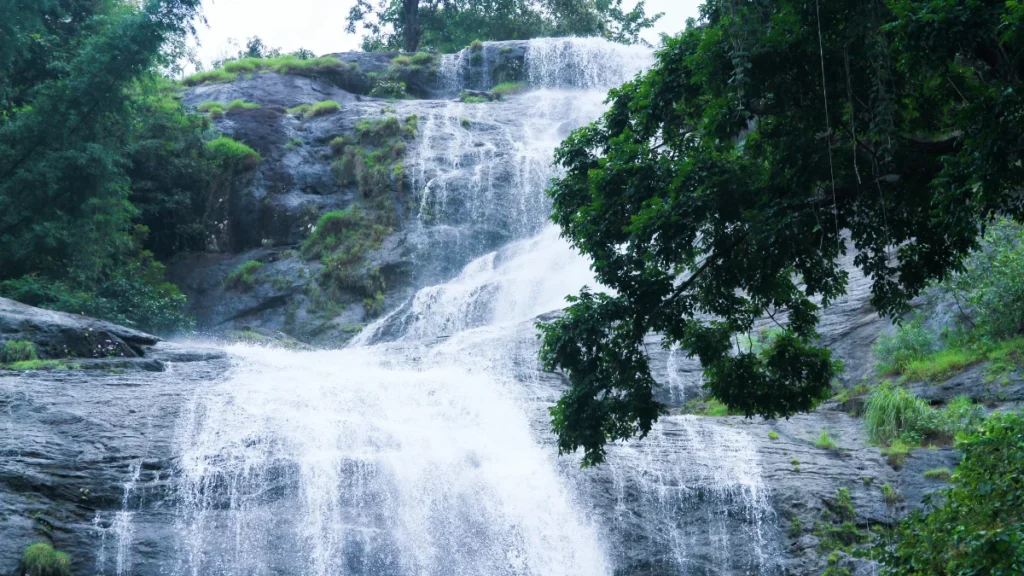 3. Attukal Waterfalls