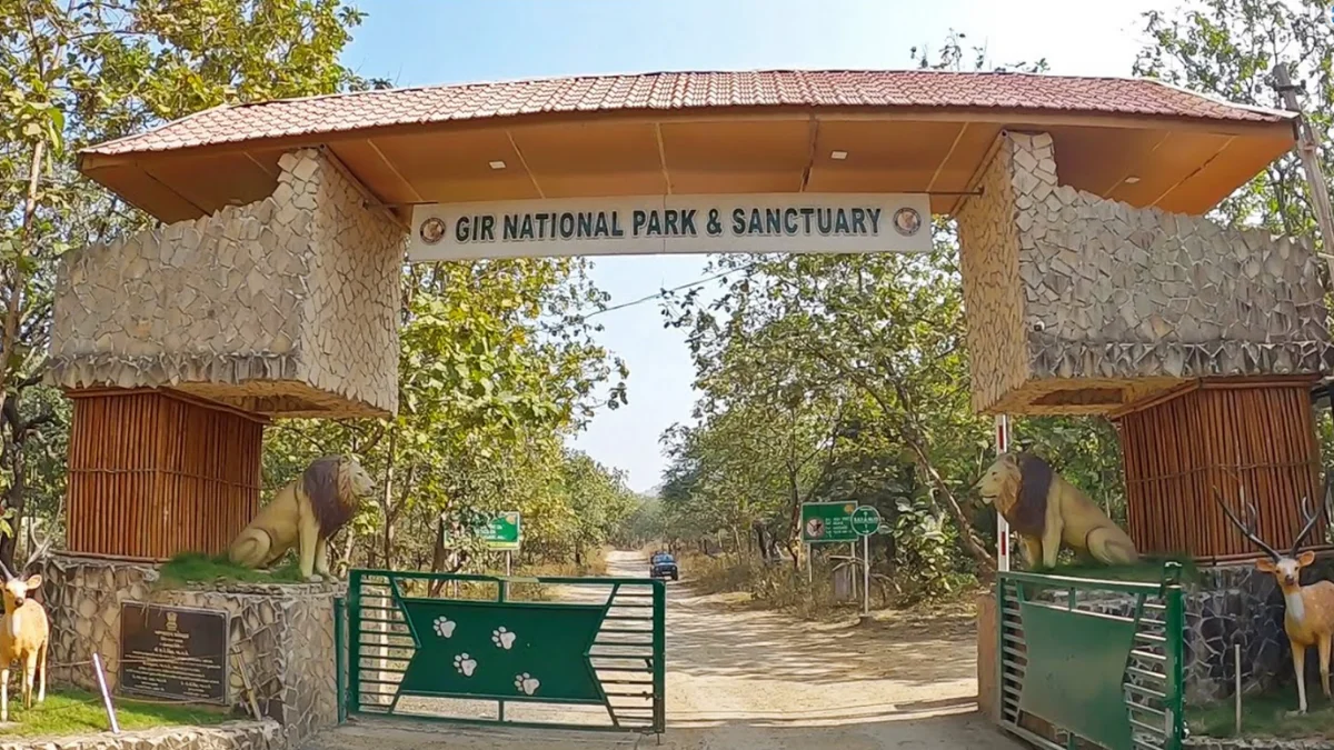 Gir National Park Entry Fees