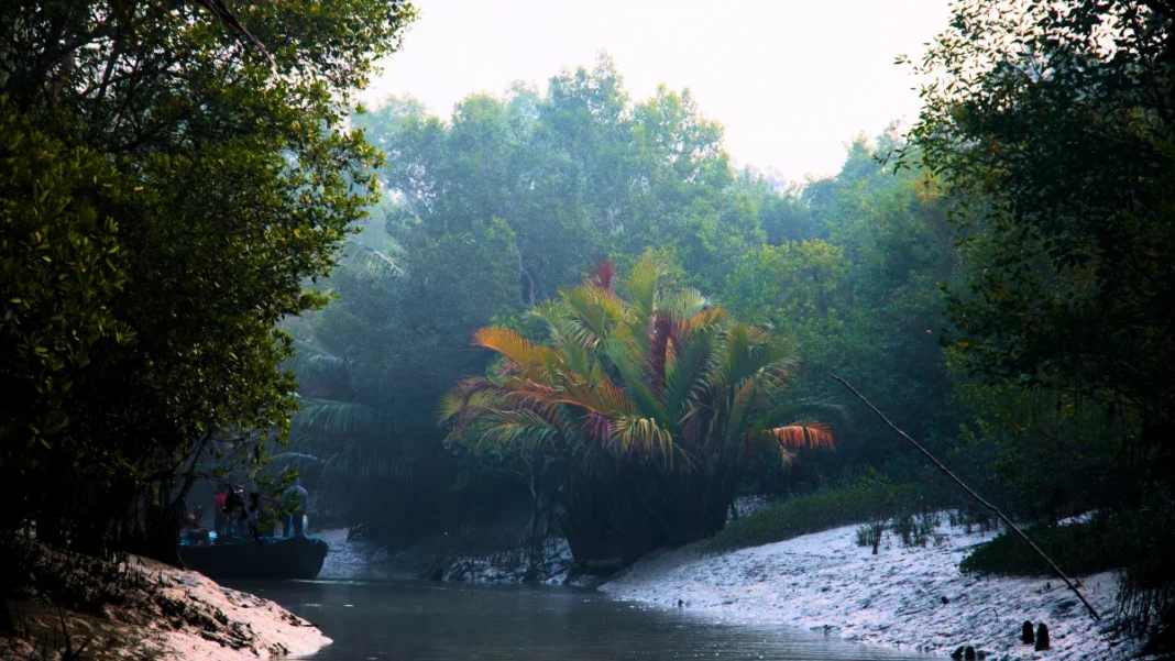 Sundarbans National Park