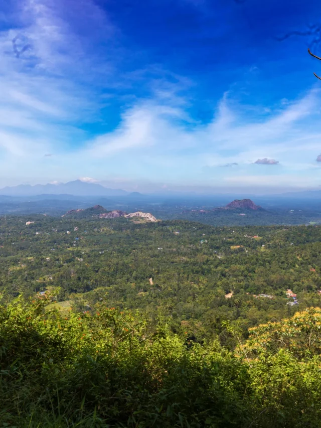 Neelimala View Point: Kerala’s Hidden Trek
