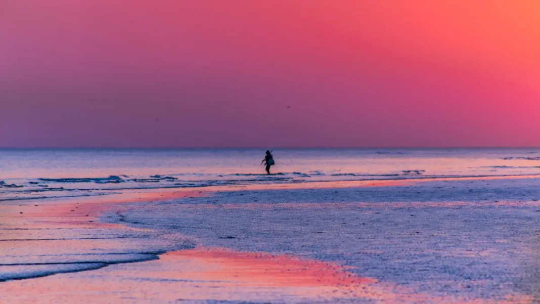 Kutch Rann Utsav 2024