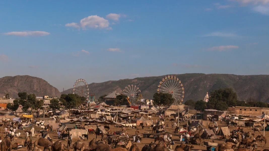 Pushkar Camel Fair India 2024