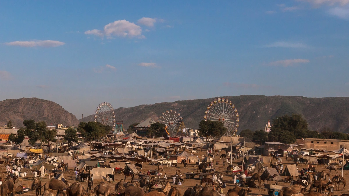 Pushkar Camel Fair India 2024: Dates, Timing, Itinerary, and Things to Do